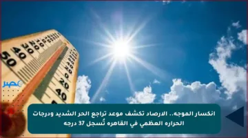 انكسار الموجة..  الأرصاد تكشف موعد تراجع الحر الشديد ودرجات الحرارة العظمى في القاهرة تُسجل 37 درجة